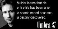 Chapter Header Image